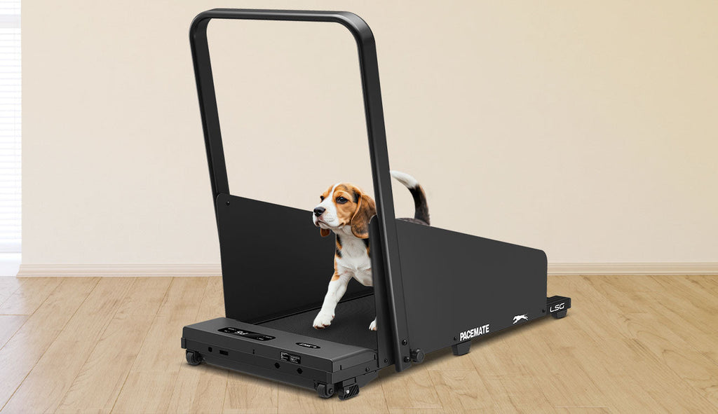 Treadmills For Pets: The Best for Man's Bestfriend