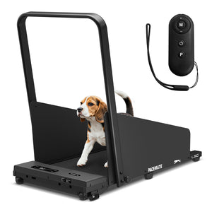 PaceMate 2-in-1 Dog Treadmill & Walking Pad